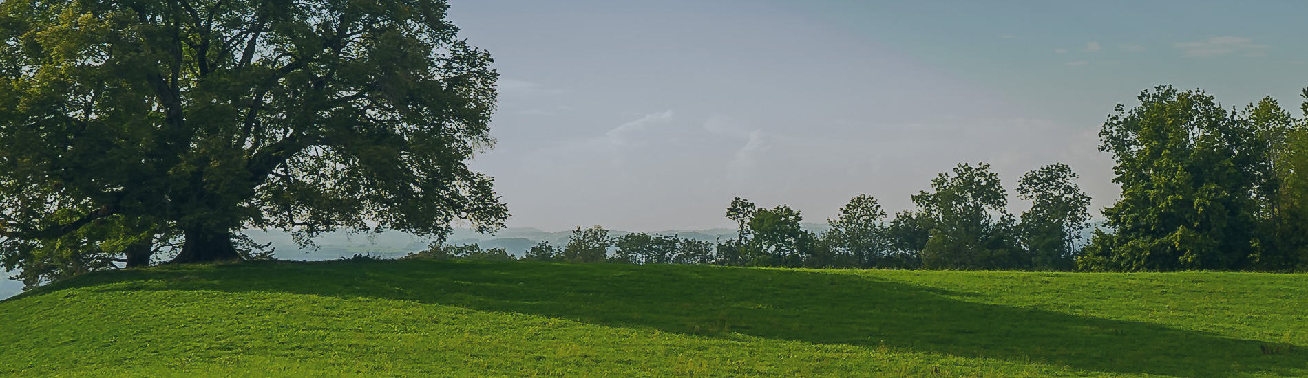 banner1